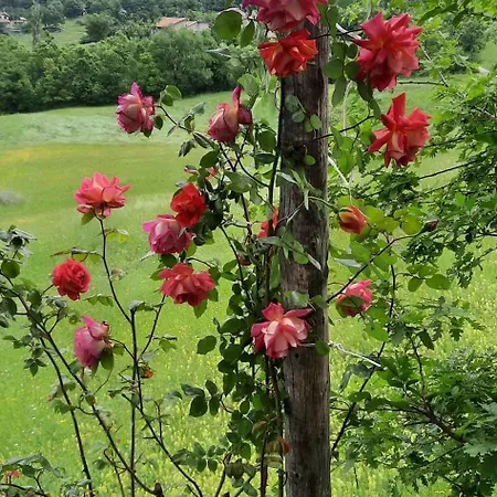 Casa Tonacchiolo לינה וארוחת בוקר *